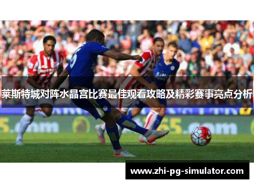 莱斯特城对阵水晶宫比赛最佳观看攻略及精彩赛事亮点分析