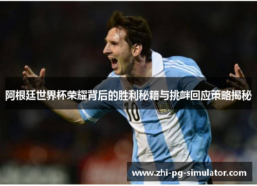 阿根廷世界杯荣耀背后的胜利秘籍与挑衅回应策略揭秘